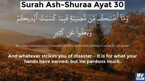 quran 42 30|ash shuraa in arabic.